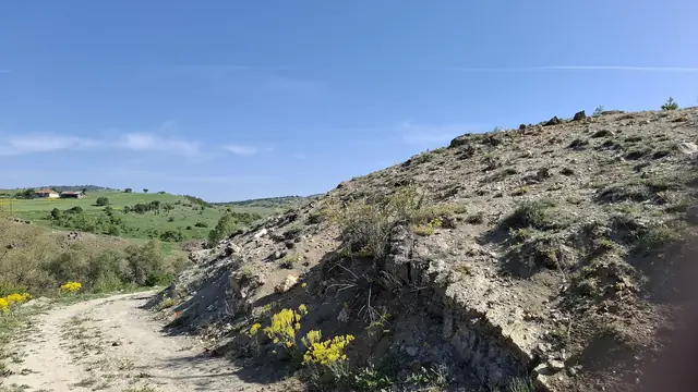 Çamlıdere Fosil Ormanı (Pelitçik)